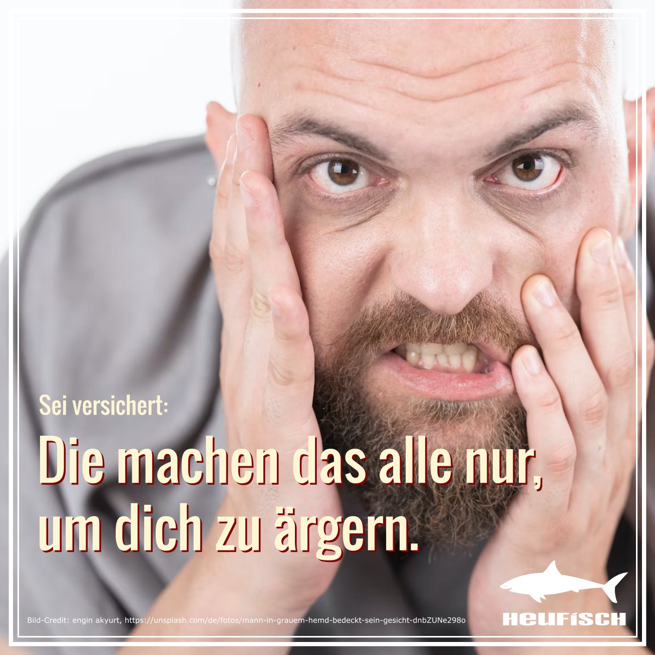 Die machen das alle nur …
