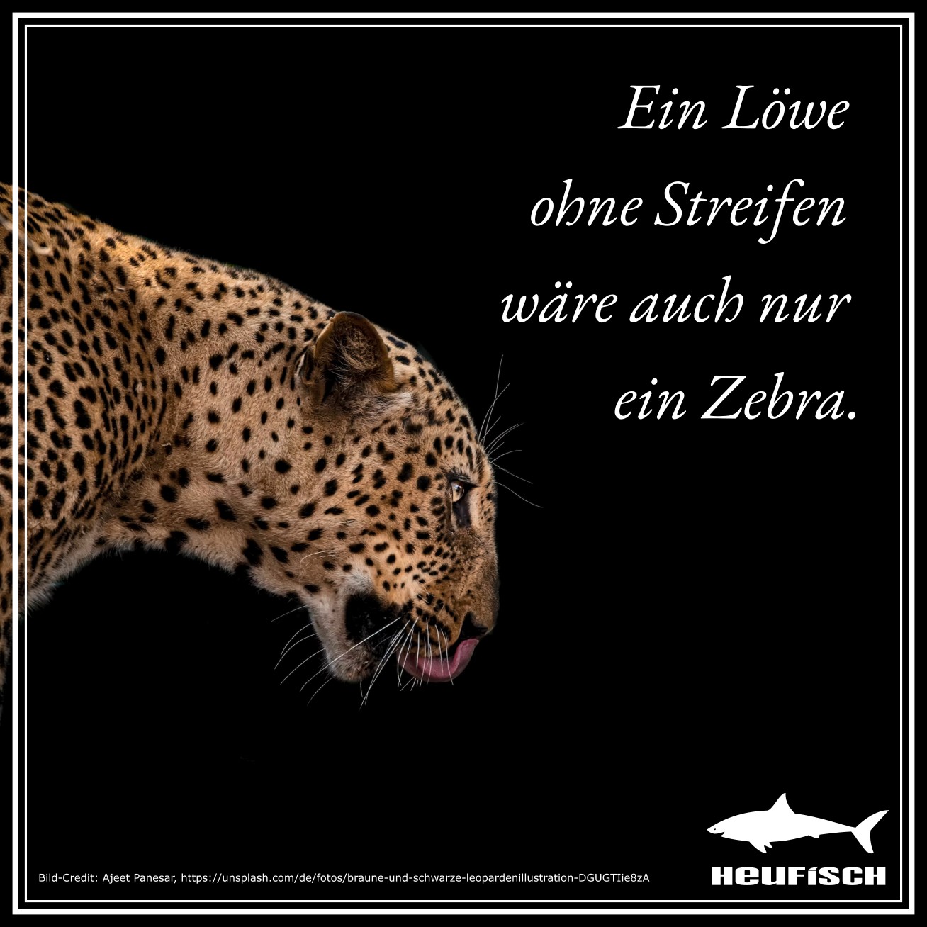 Ein Löwe ohne Streifen