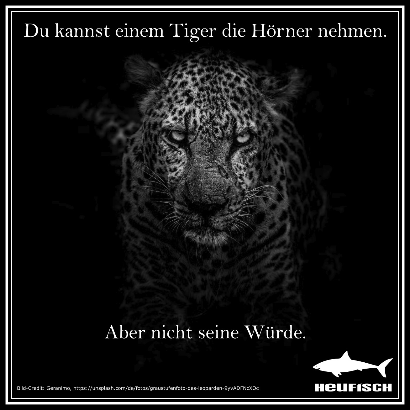 Du kannst einem Tiger