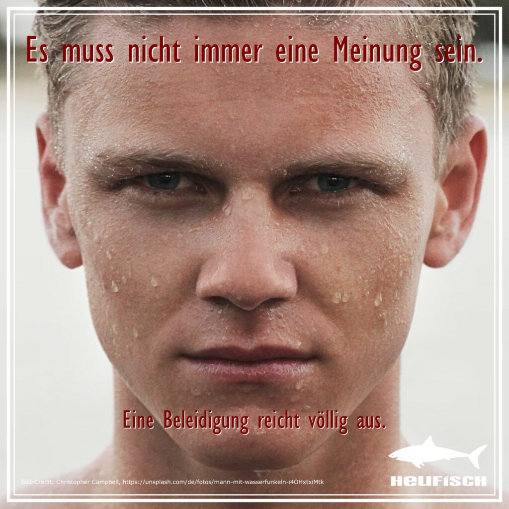 Es muss nicht immer eine Meinung sein. Eine Beleidigung reicht völlig aus.