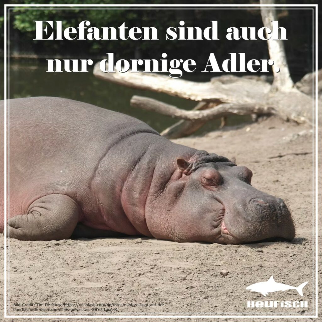 Elefanten sind auch nur dornige Adler.